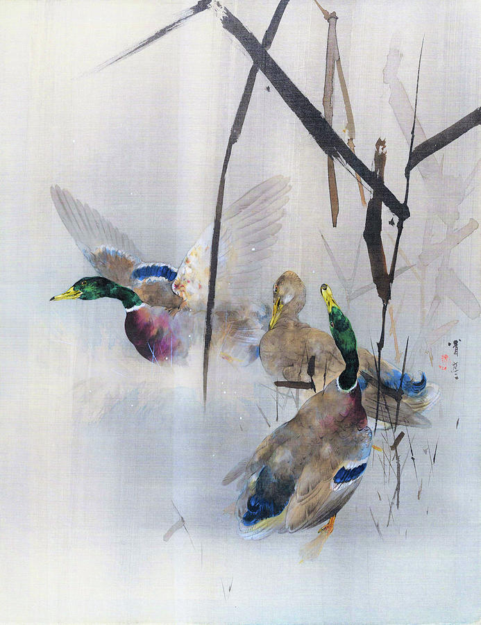 Wild Ducks - Digital Remastered Edition Painting by Watanabe Seitei