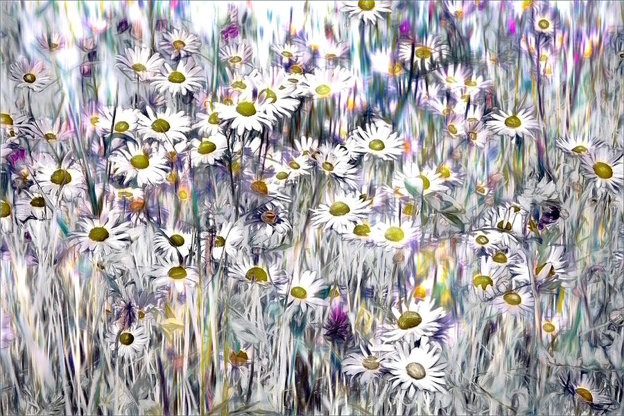Flower Photograph - Wild Flower Carpet by Gilbert Claes