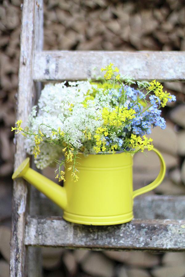 Wild Flowers In Yellow Watering Can Stood On Ladder Photograph by Sylvia E.k Photography