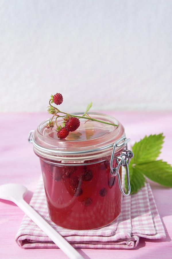 Wild Forest And Rhubarb Jelly Photograph by Martina Schindler