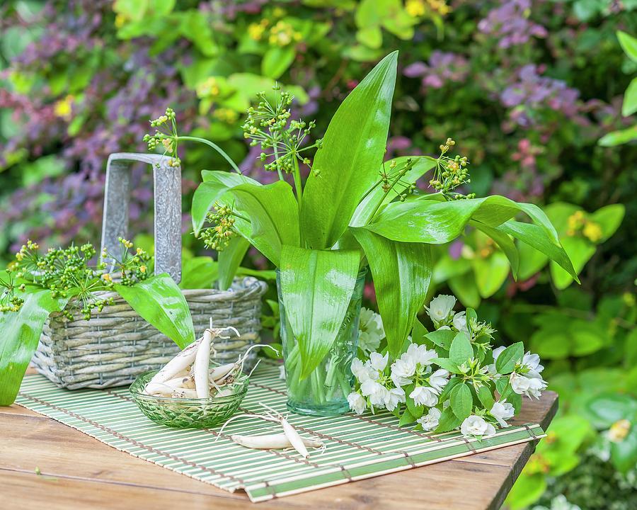 Wild Garlic In A Glass And A Basket On A Garden Table Photograph by The Studio Collection