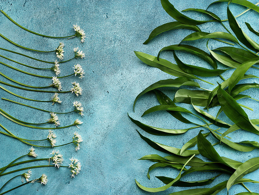 Wild Garlic Leaves And Flowers Photograph by Huw Jones