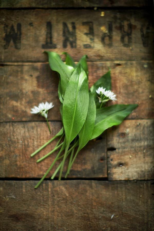 Wild Garlic On Wood Photograph by Tom Regester