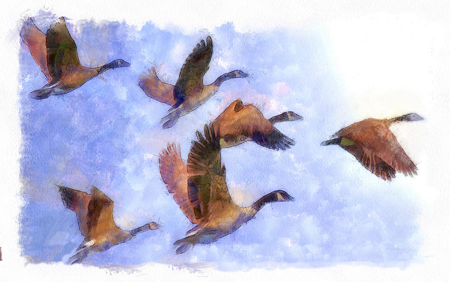 Wild Geese II Digital Art by Robert Bissett