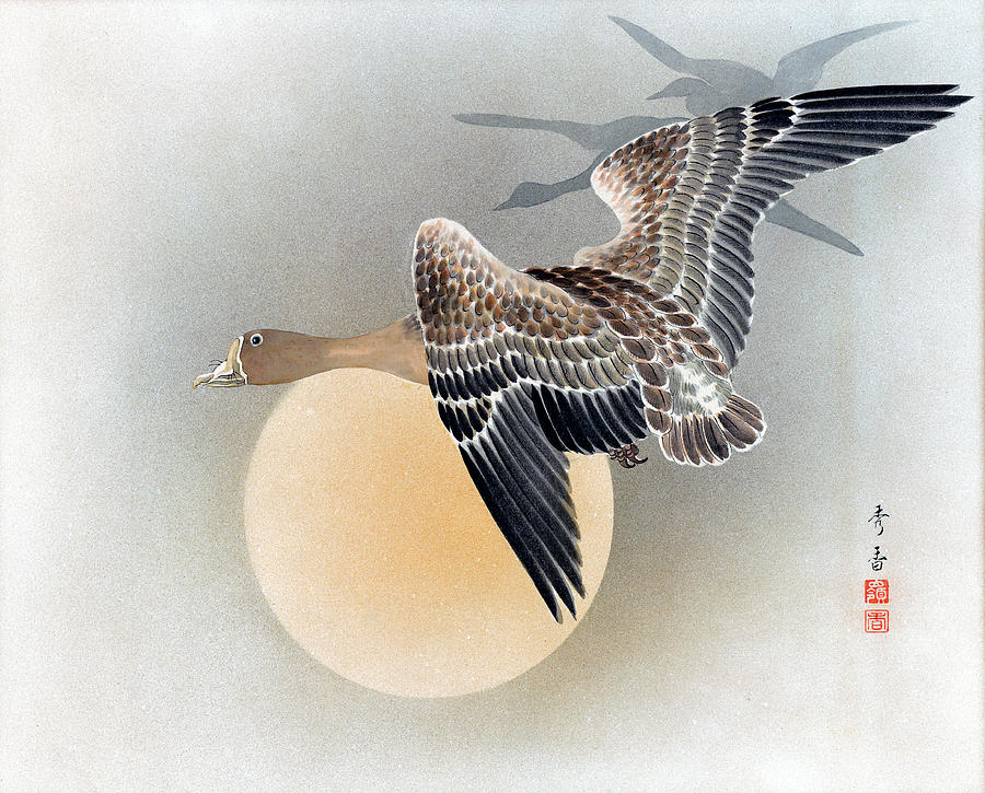 Wild Geese Painting by Shuko