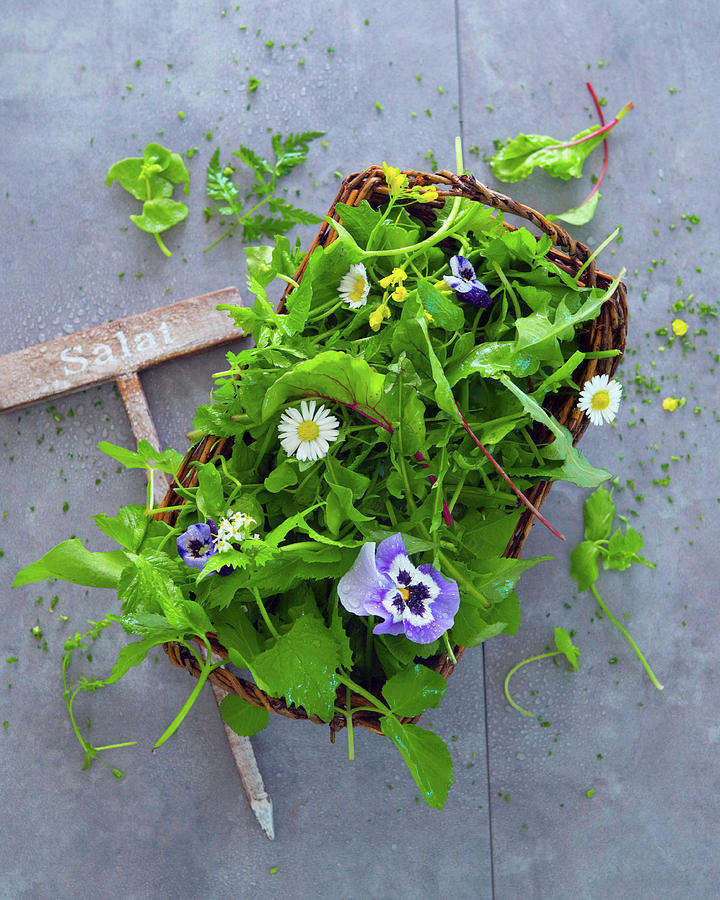 Wild Herb Salad Basket With Horned Violets Photograph by Udo Einenkel