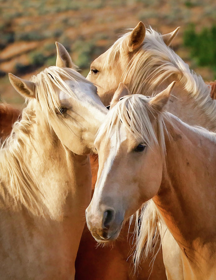 Wild Horse Herd Photograph by Athena Mckinzie - Fine Art America