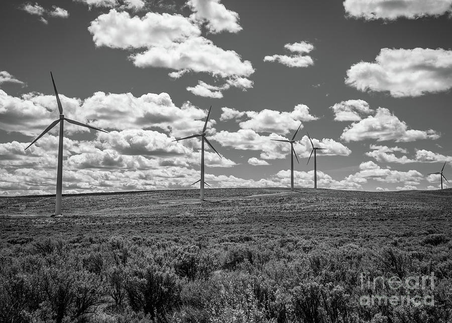 Wild Horse Wind Farm In Desert Plain Photograph by Alex Levine