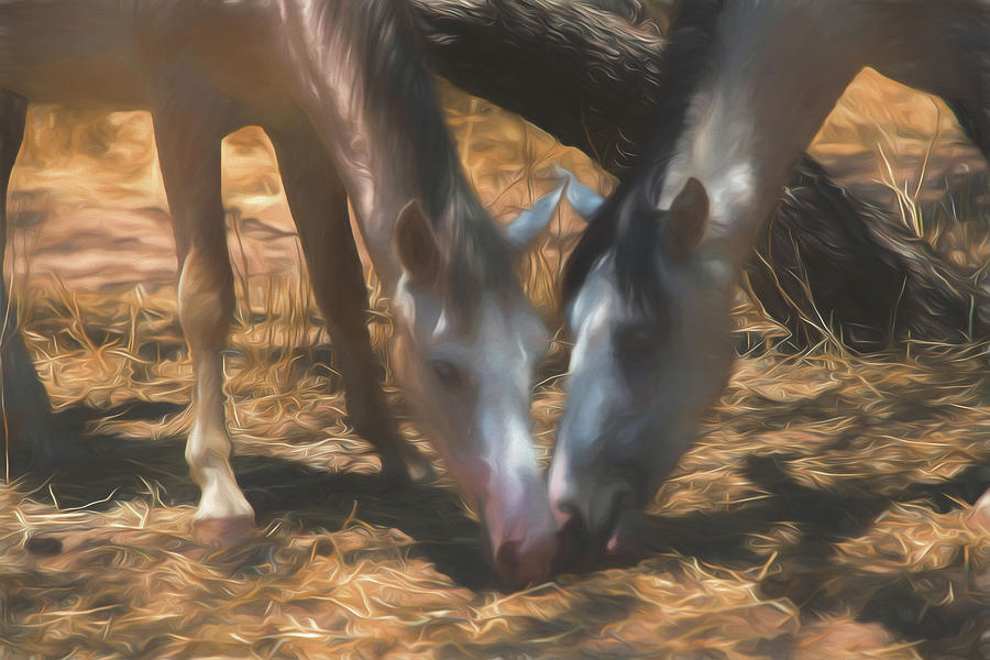 Wild horses Digital Art by Alan Goldberg