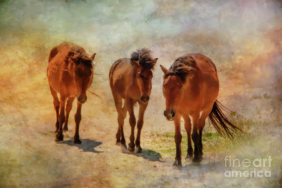 Wild Horses Outer Banks Five Digital Art by Randy Steele
