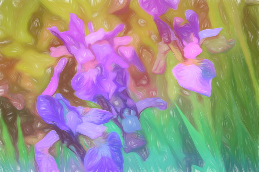 Wild Iris Abstract  Photograph by Cathy Anderson