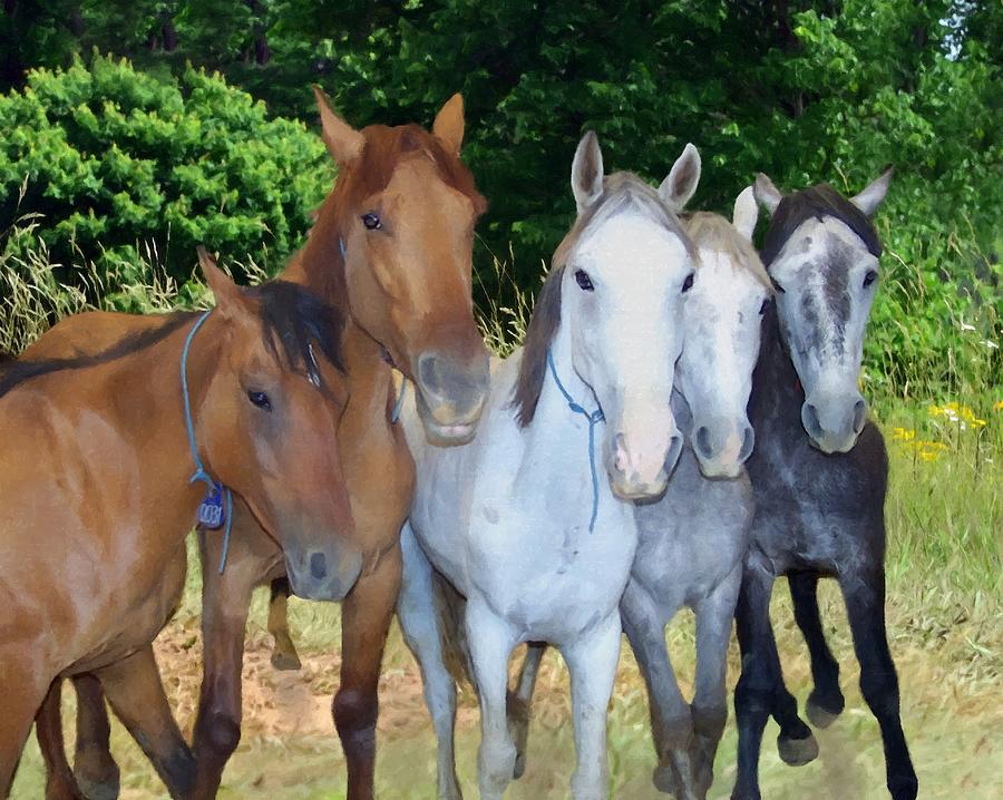 Wild Mustangs Adoption Painted Photograph by Sandi OReilly