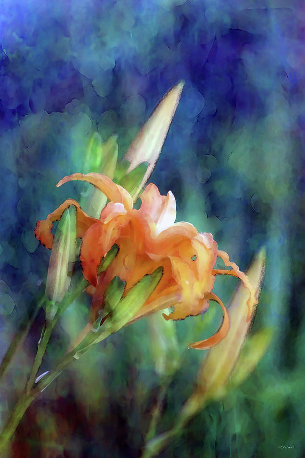 Wild Orange Lilies 7287 Idp_2 Photograph