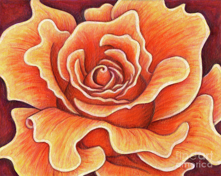 Wild Orange Rose Painting by Amy E Fraser