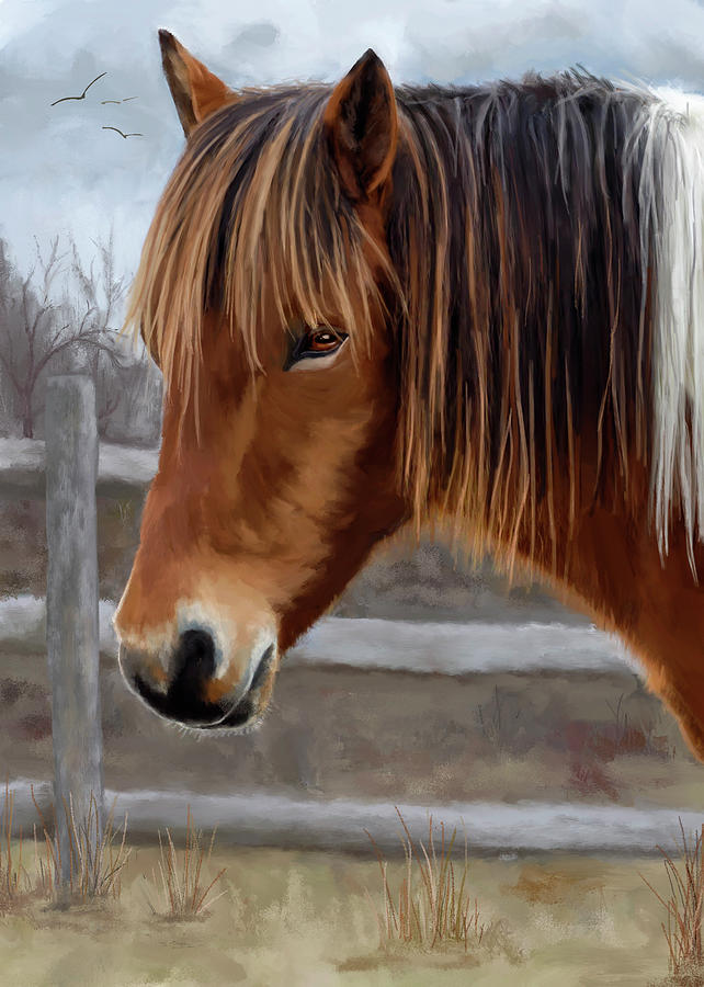 Wild Pony in Winter Digital Art by Peggy Kahan