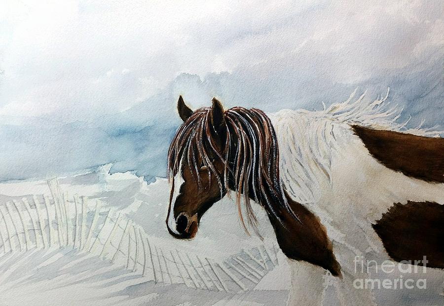 Wild Pony Sky - Assateague Wild Pony Paint by Janine Riley Wild Pony Sky - Assateague Wild Pony Paint by Janine Riley