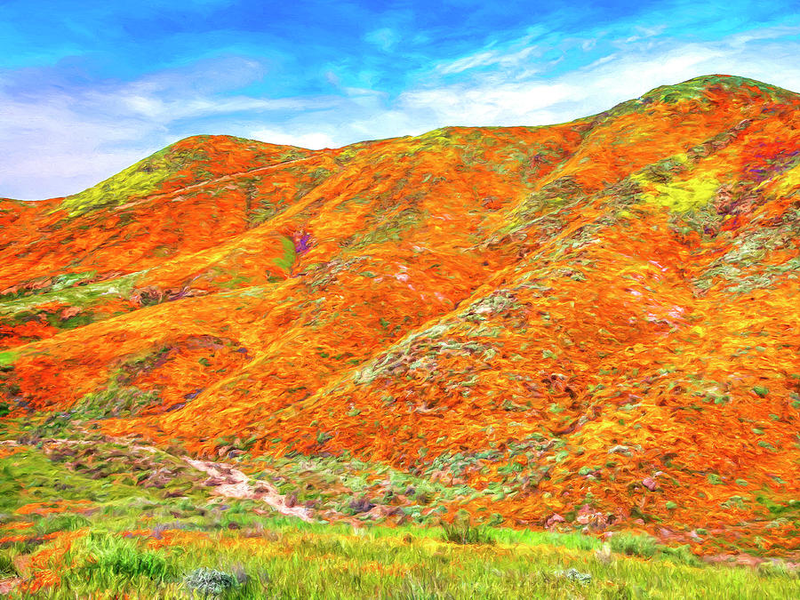 Wild Poppies Near Lake Elsinore Photograph by Dominic Piperata