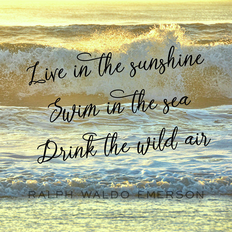 WILD SEA quote Photograph by Jamart Photography
