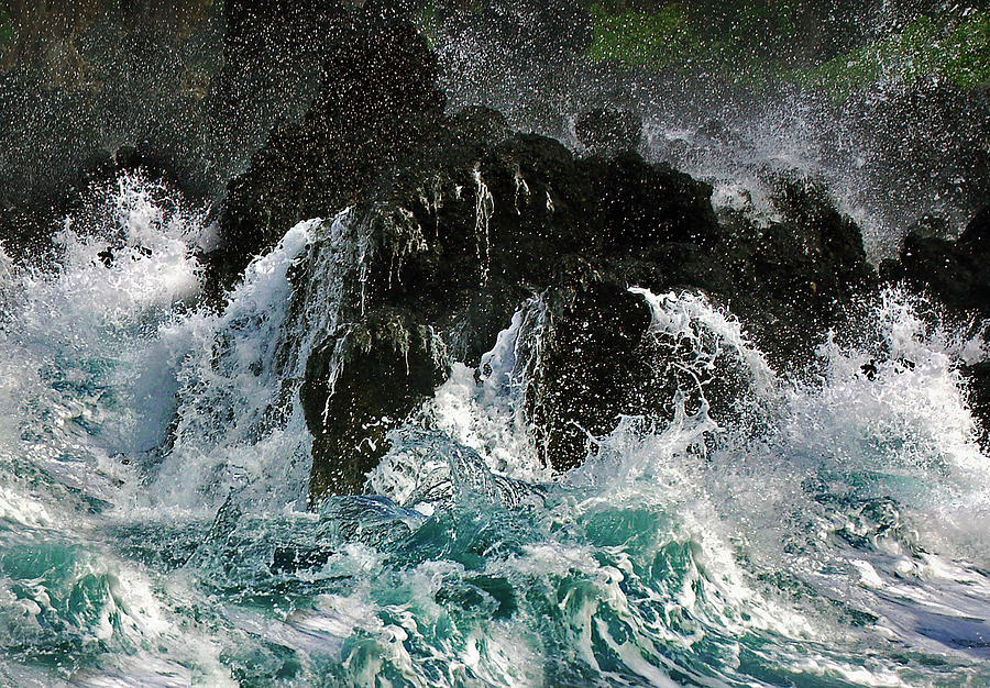 Wild Seascape Of Hawaii by Mitch Diamond