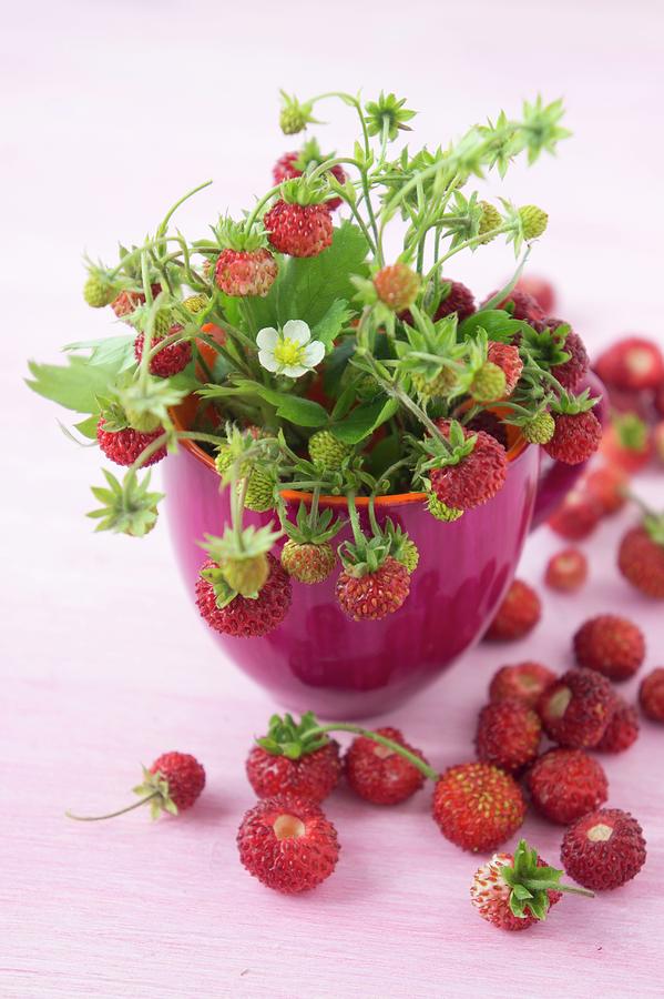 Wild Strawberries With Flowers In A Bowl Photograph by Martina Schindler
