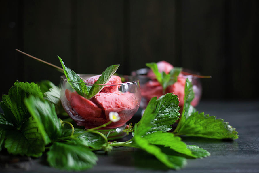 Wild Strawberry Sorbet Photograph by Alicja Koll
