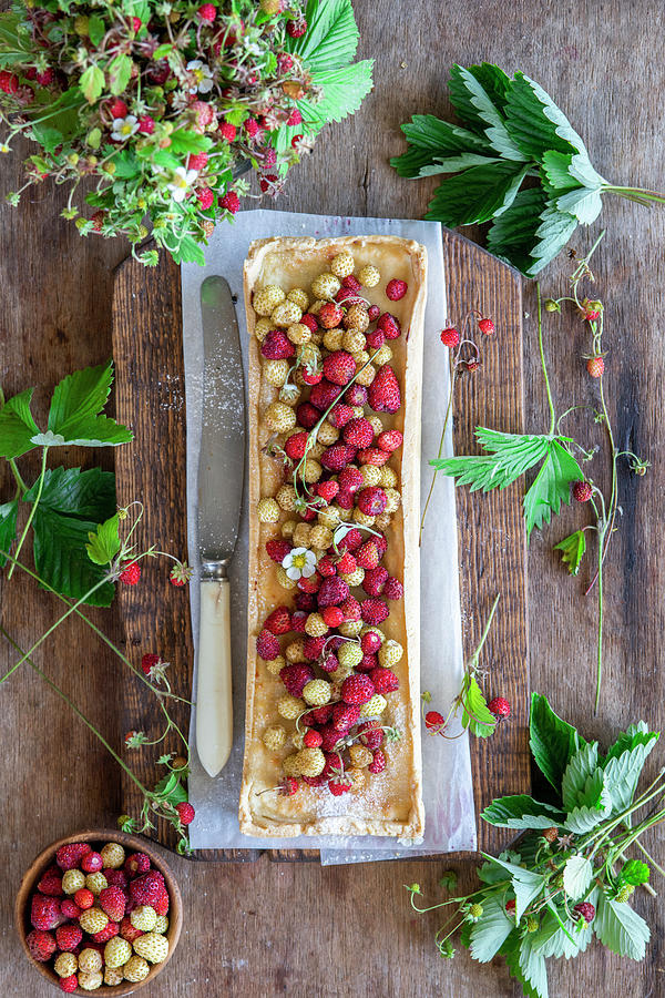 Wild Strawberry Tart With Cottage Cheese Filling Photograph by Irina Meliukh