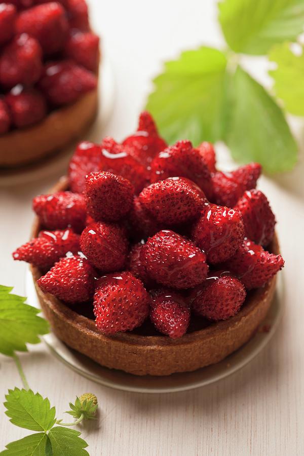 Wild Strawberry Tartlet Photograph by Laurange