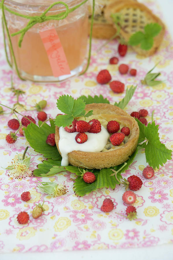 Wild Strawberry Tartlets Photograph by Martina Schindler