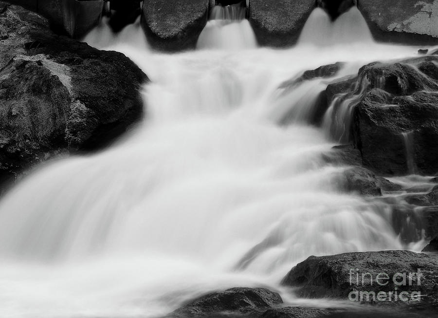 Wild Stream Photograph by Raymond Earley