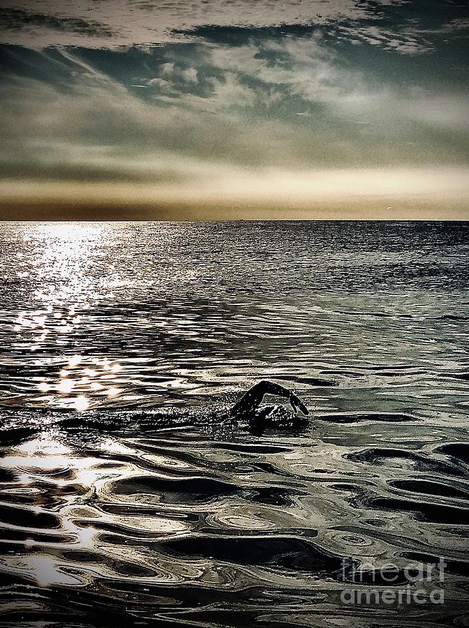 Wild Swimming Photograph By Jason Kelvin Science Photo Library Fine Art America