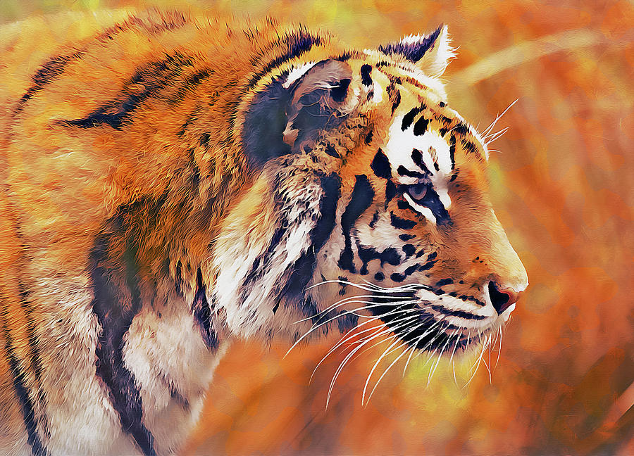 Wild Tiger - 05 Painting by AM FineArtPrints