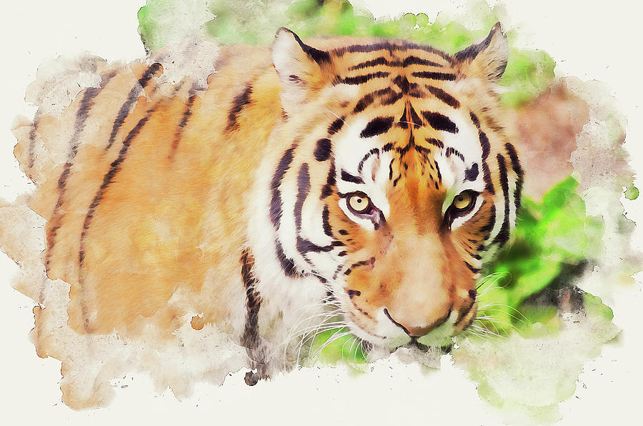 Wild Tiger - 07 Painting by AM FineArtPrints