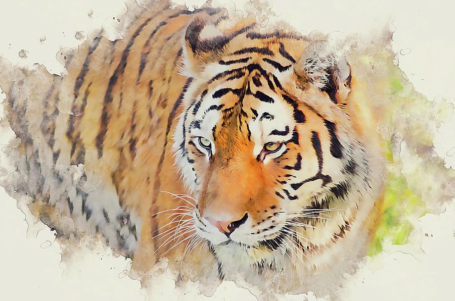 Wild Tiger - 08 Painting by AM FineArtPrints