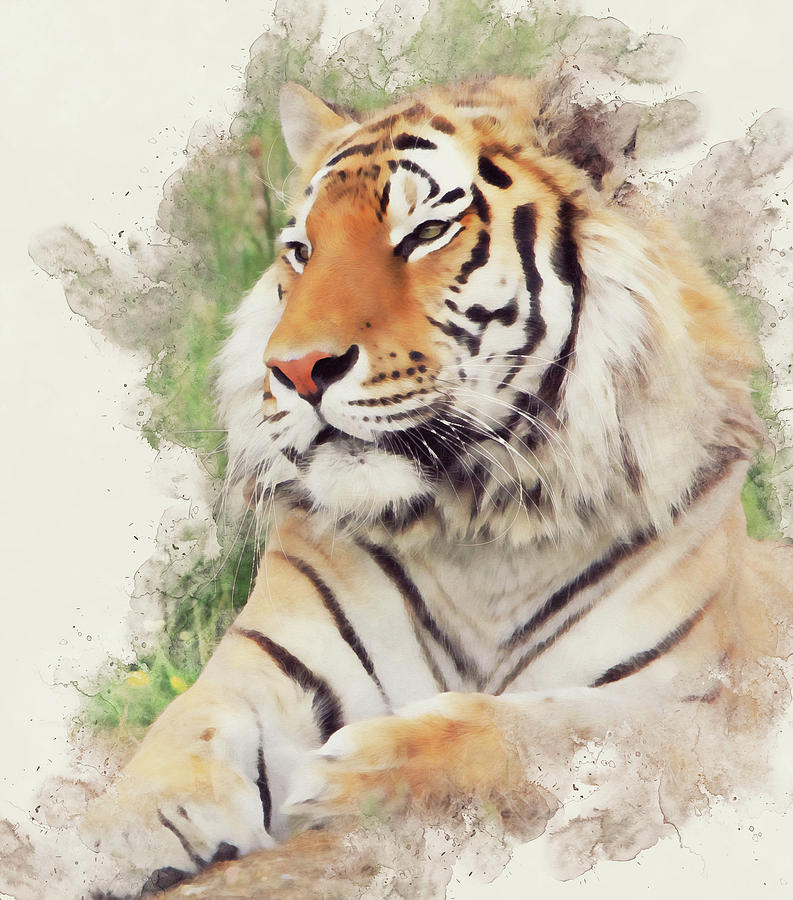 Wild Tiger - 10 Painting by AM FineArtPrints