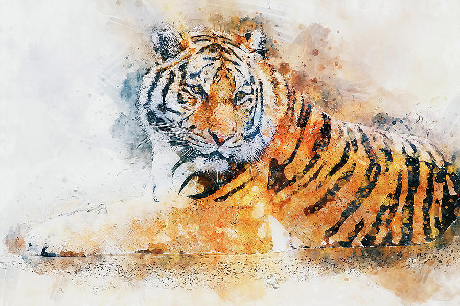 Wild Tiger - 12 Painting by AM FineArtPrints