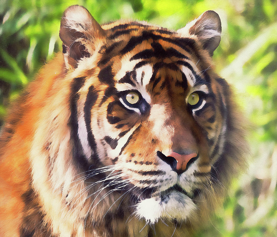 Wild Tiger - 14 Painting by AM FineArtPrints
