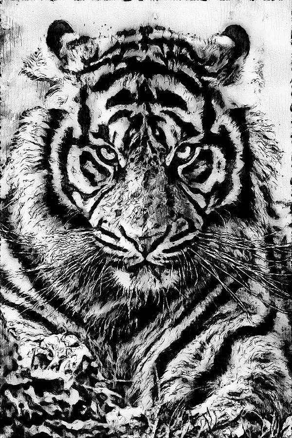 Wild Tiger - 16 Painting by AM FineArtPrints