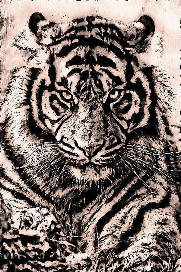 Wild Tiger - 17 Painting by AM FineArtPrints
