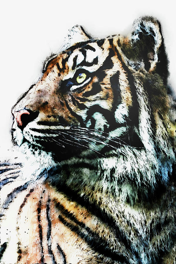 Wild Tiger - 18 Painting by AM FineArtPrints