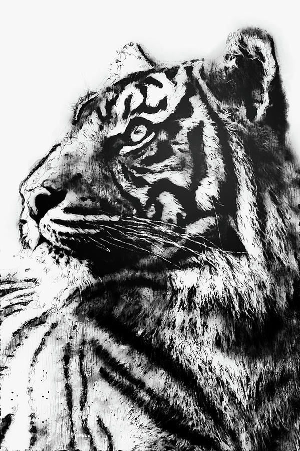 Wild Tiger - 19 Painting by AM FineArtPrints