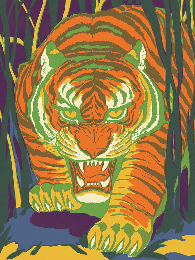 Jungle Drawing - Wild Tiger by CSA Images