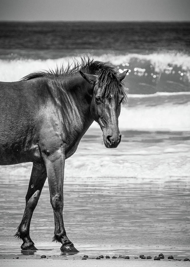 Wild Waters Photograph by RJ Stein Photography - Fine Art America