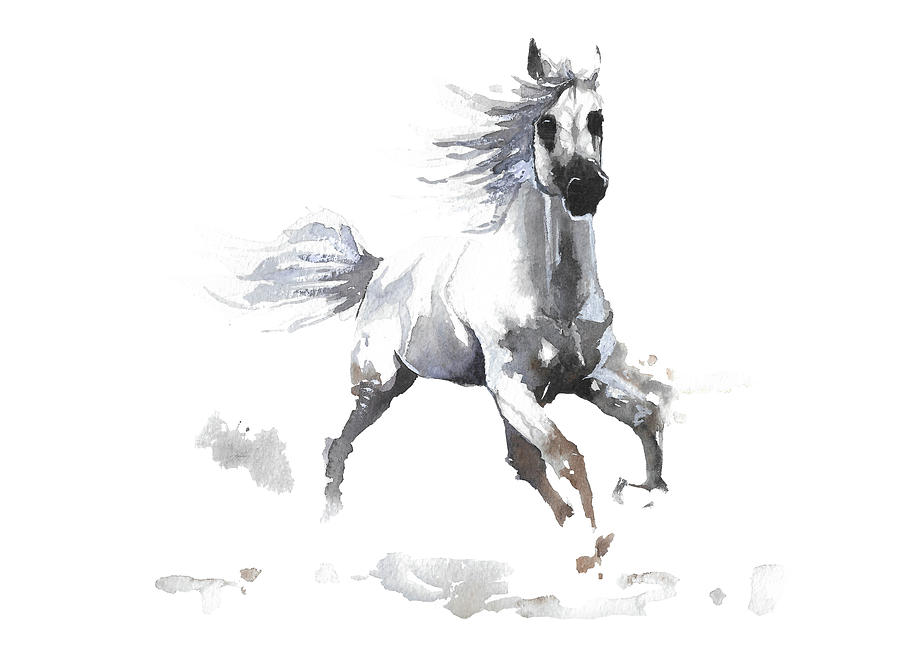 Wild white horse Painting by Anna Vecherskaia - Pixels