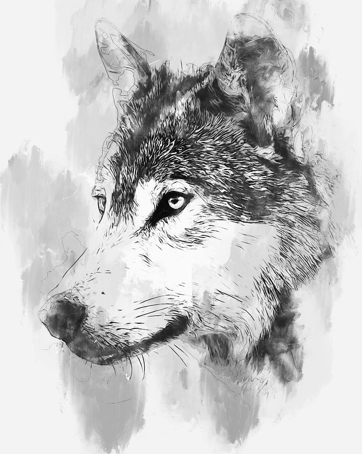 Wild Wolf - 01 Painting by AM FineArtPrints