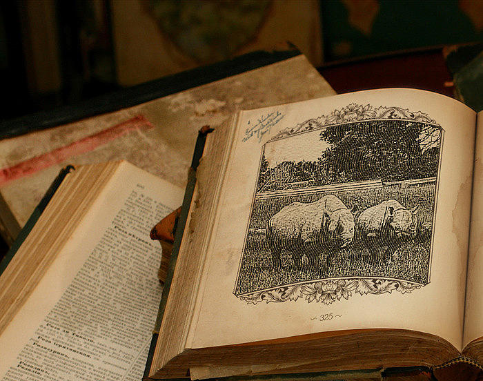 Wild Wonders by Alison Frank Wild Wonders by Alison Frank