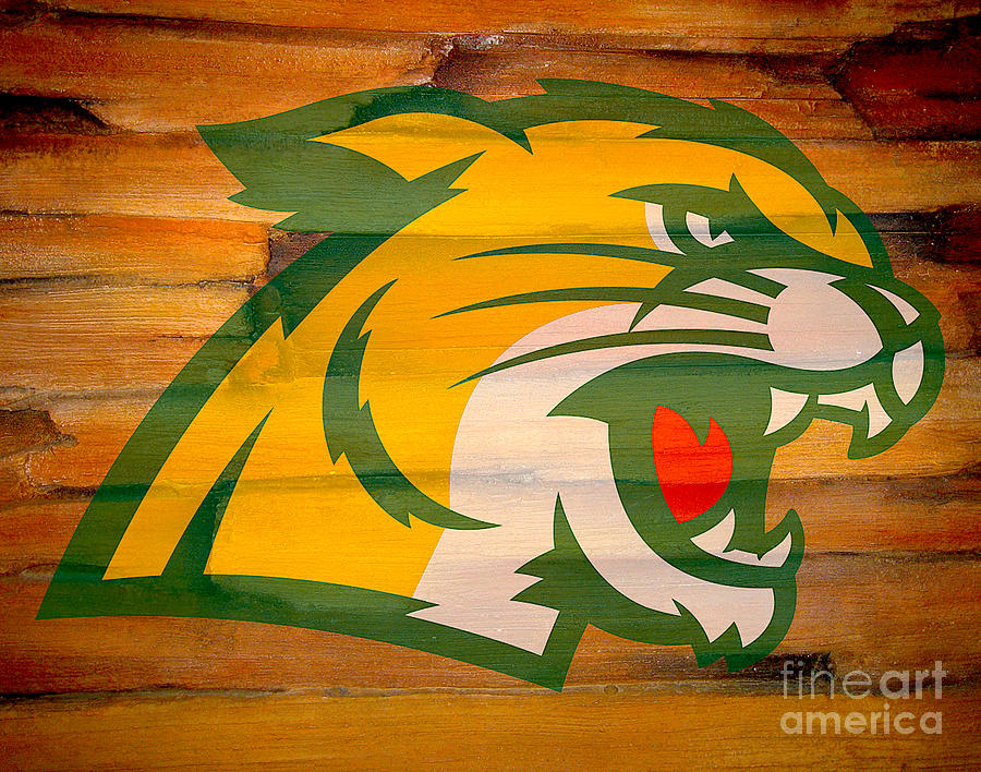 Athlete Digital Art - Northern Michigan Wildcats by Steven Parker