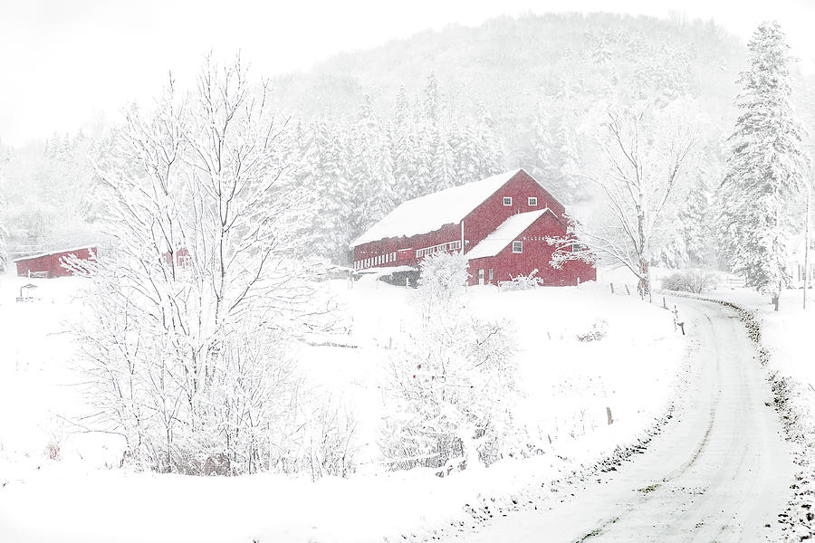 Wilder Farm in Snowstorm Photograph by Tim Kirchoff