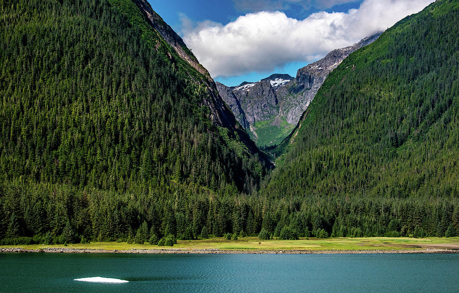 Wilderness Alaska Photograph