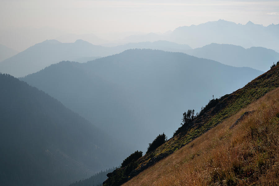 Tree Photograph - Wildfire Smoke Creates Mountain Layers In The North Cascades by Cavan Images
