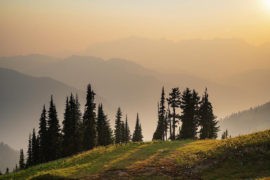 Sunset Photograph - Wildfire Smoke Over The Cascade Mountains With A Small Grove Of Trees by Cavan Images